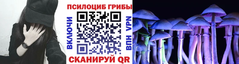 Галлюциногенные грибы Magic Shrooms  hydra как зайти  Кадников 